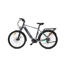 MS ENERGY eBike c101