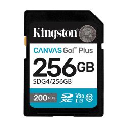SD card Kingston 256 GB...